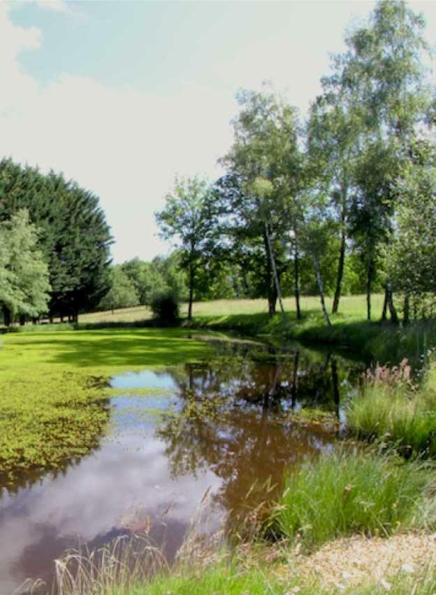 Vila Domaine Des Grandes Landes Saint-Paul-la-Roche Exteriér fotografie